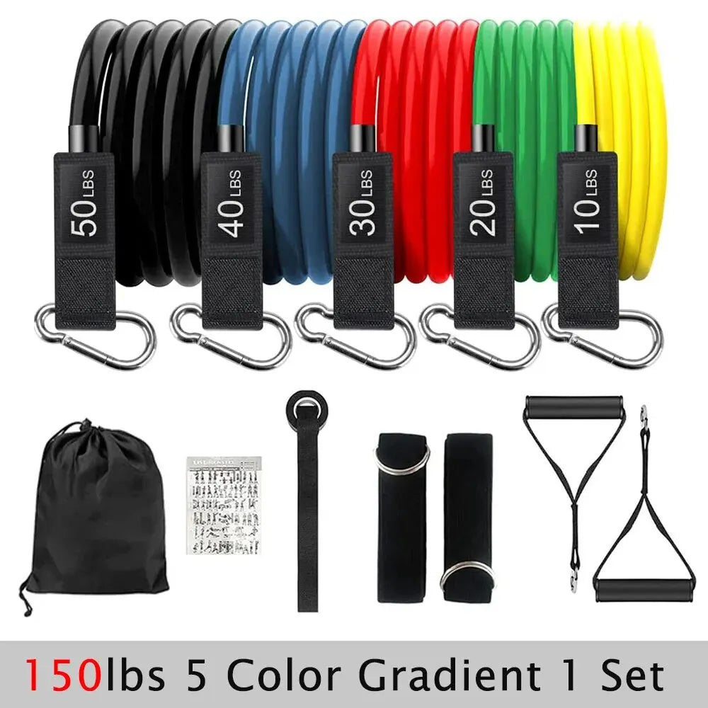 Resistance Bands for Training